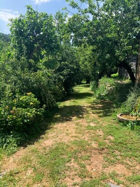 Finca Salvador Baralla Екстериор снимка